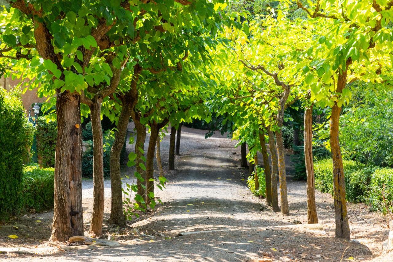 Hotel Rural Y Apartamentos Villa Engracia Espluga de Francolí Dış mekan fotoğraf