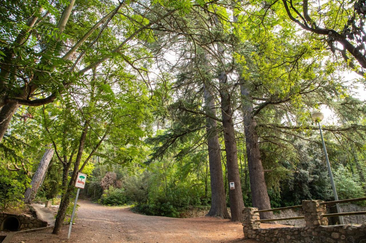 Hotel Rural Y Apartamentos Villa Engracia Espluga de Francolí Dış mekan fotoğraf